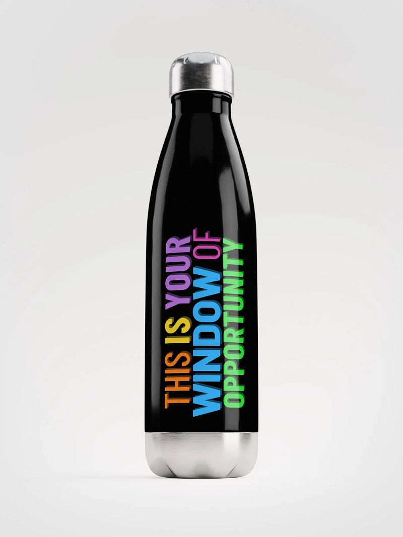 This is Your Window of Opportunity Water Bottle