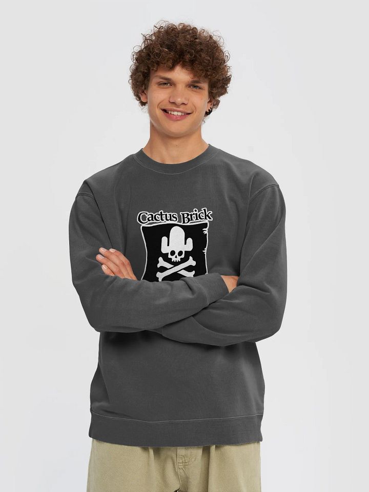 Cactus Brick (Sweaters) - Pirate Flag product image (1)