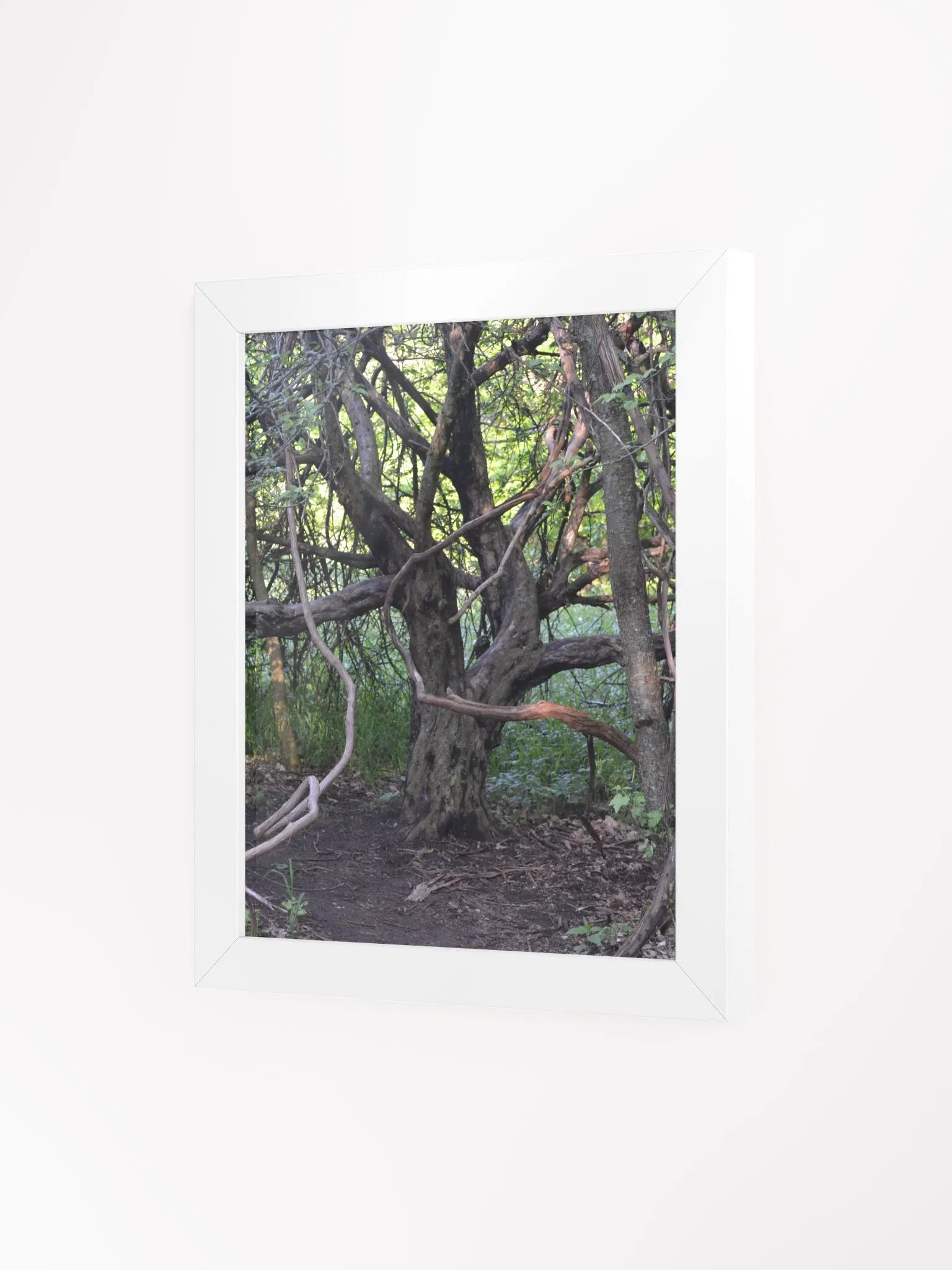 Tree of Branches High Quality Poster product image (16)