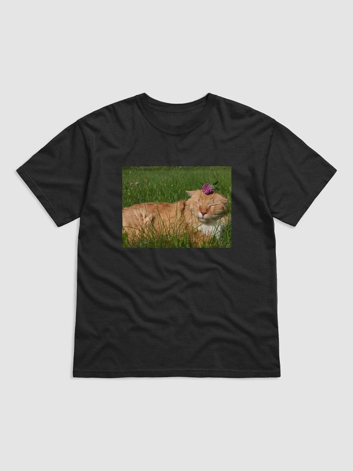 Clover Boy Tee product image (1)