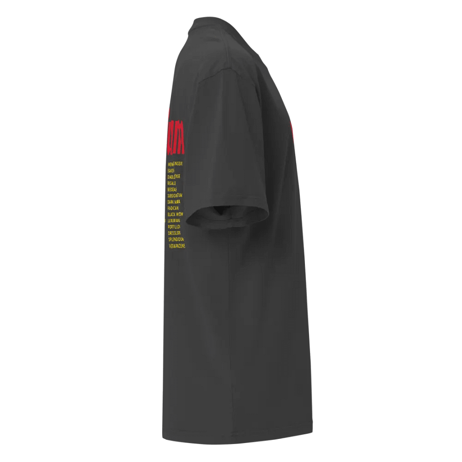 ⚡️ ANTHURIUM WORLD TOUR ⚡️ oversized tee product image (8)