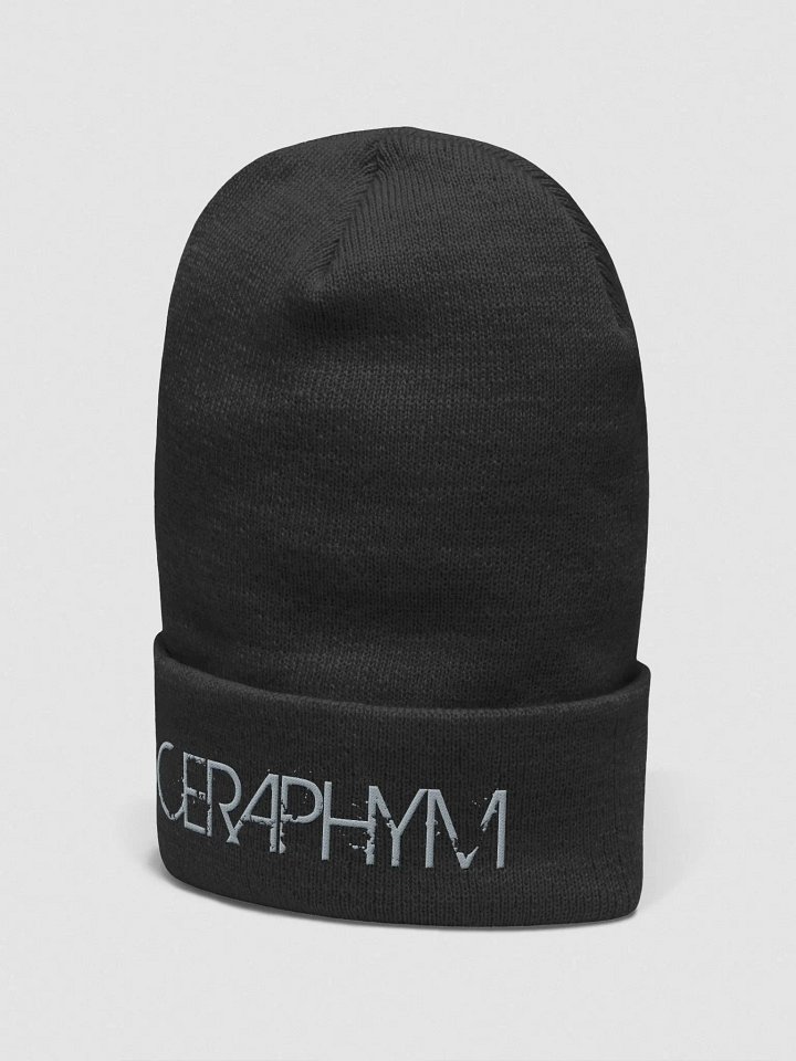 Grey Logo Beanie product image (4)