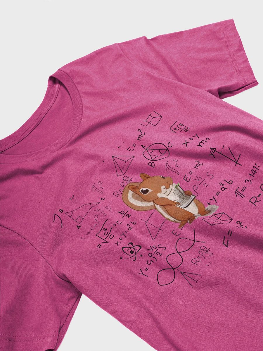 Squirrel Math product image (4)