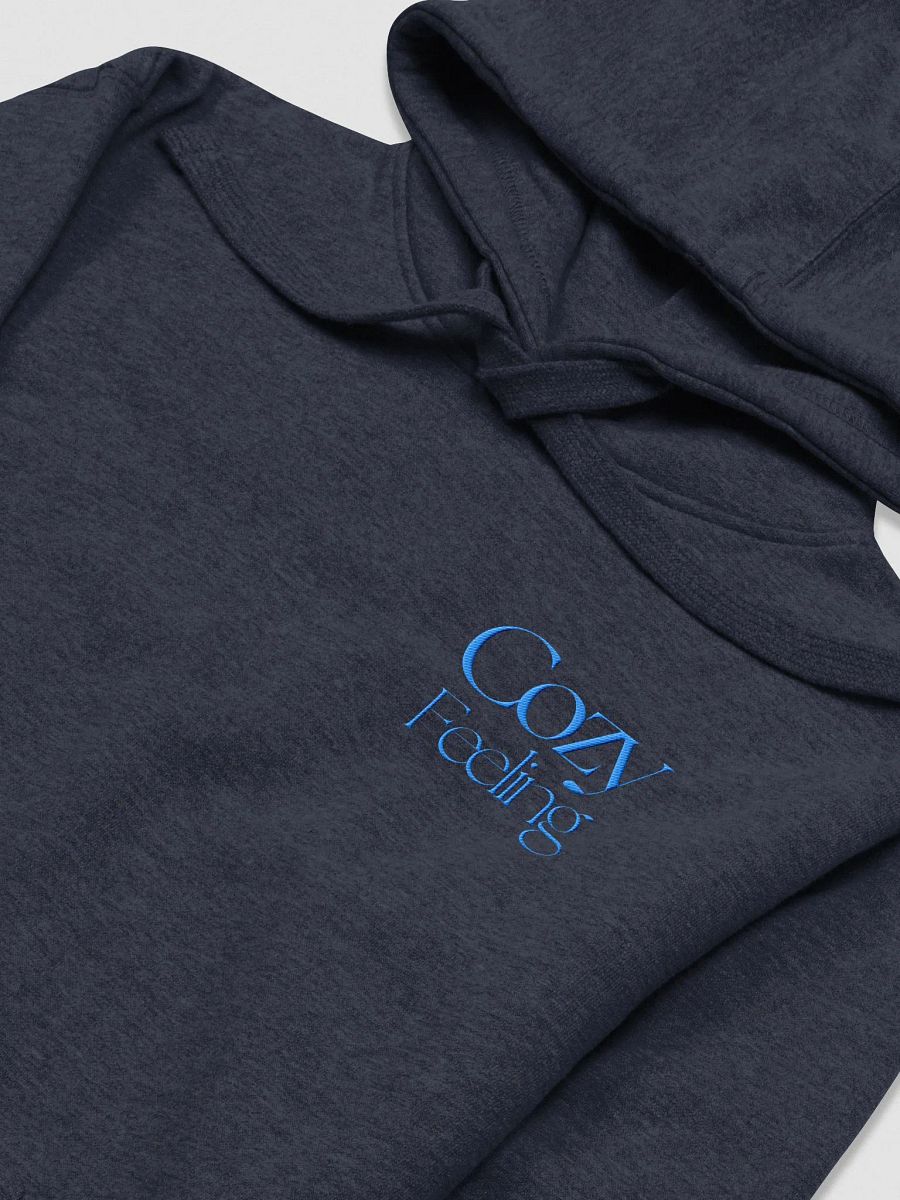 Cozy Feeling Cabinista Hoodie (Blue Embroidery) product image (15)