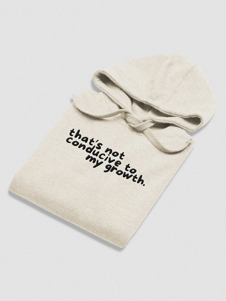 Conducive Hoodie (Embroidered) product image (7)