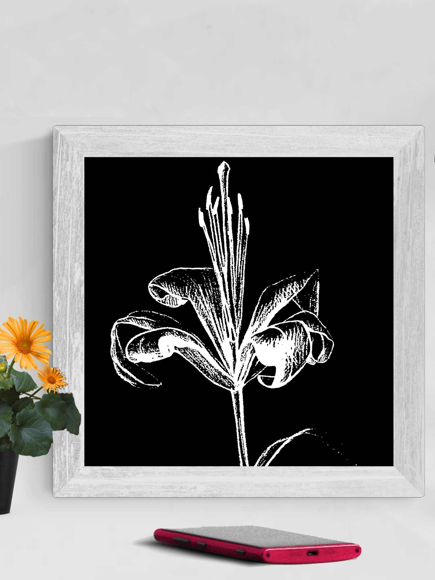 Lily Bloom Canvas Art - Fine Flower Dark product image (4)