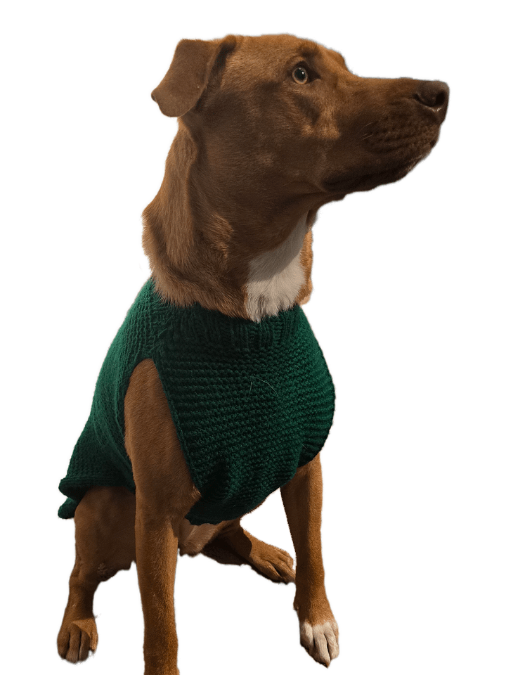 Dogo Sweater!!! Made to Order product image (2)