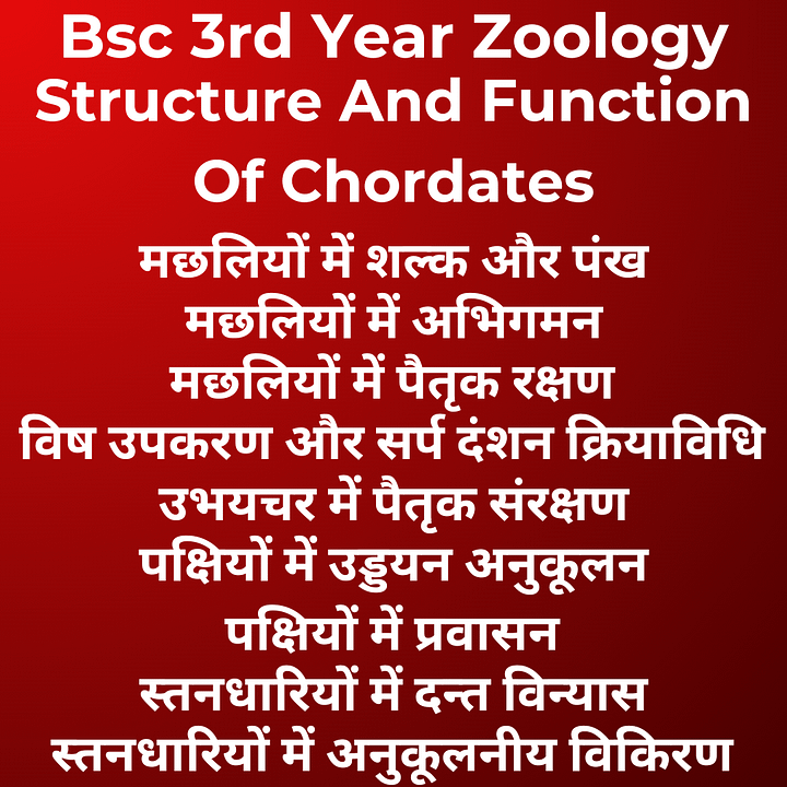 Structure And Function Of Chordates | Bsc 3rd Year Zoology | Unit 3 Notes in Hindi product image (1)