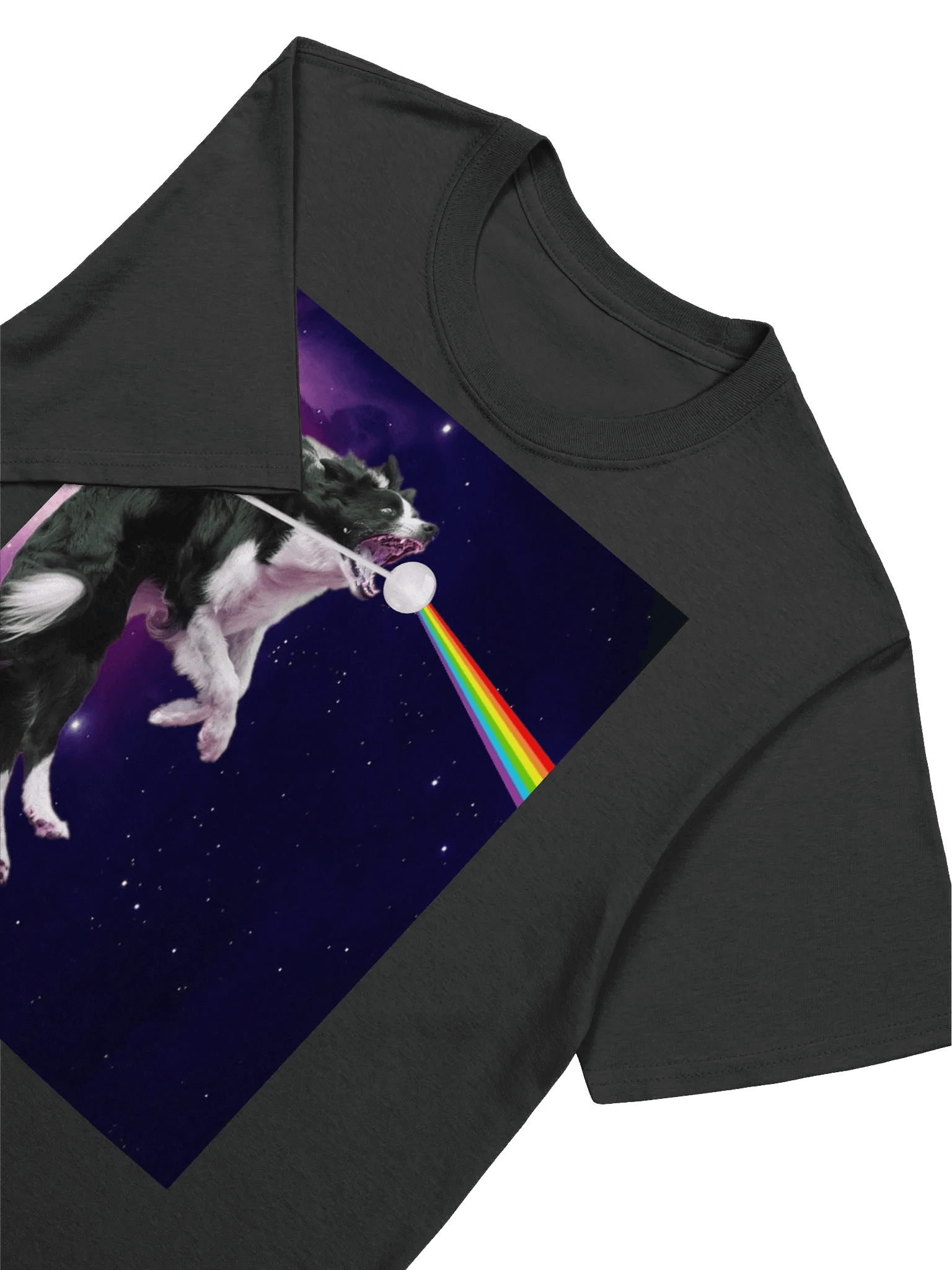 Border Collie Leaps Into The Best Album Cover Of All Time Classic Rock 'n' Roll T-shirt product image (3)