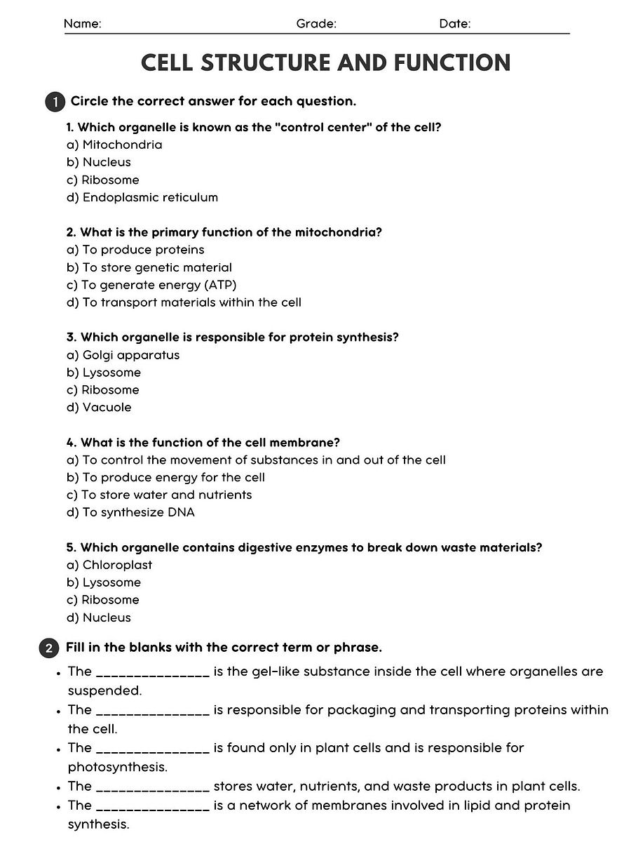 Cell Structure & Function Worksheet - Biology Activity product image (1)