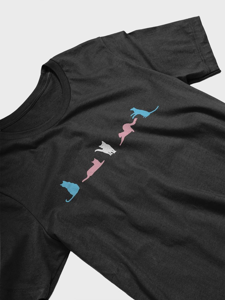 Transgender Pride Cats Women's Shirt product image (28)