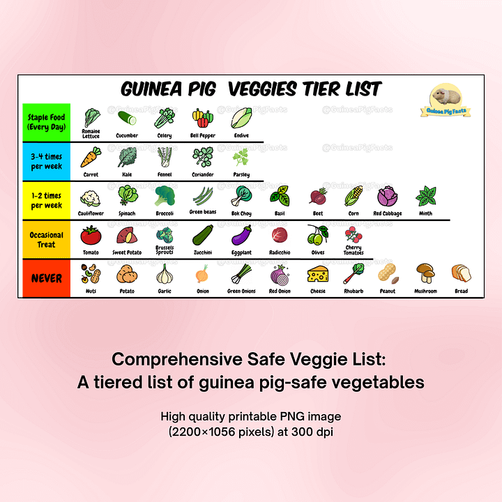 Printable Guinea Pig Vegetable Chart Tier List | Safe Veggies Tier List | Meal Planner & Pet Care Guide (Digital Download) PNG - 300 DPI product image (1)