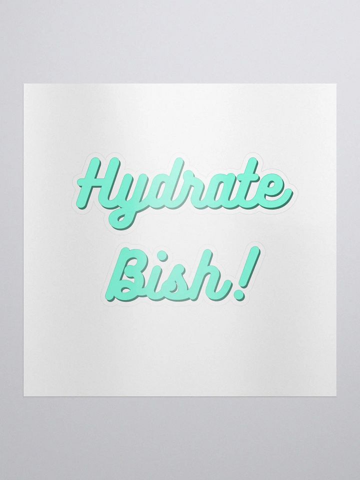 Hydrate Bish! Sticker product image (1)