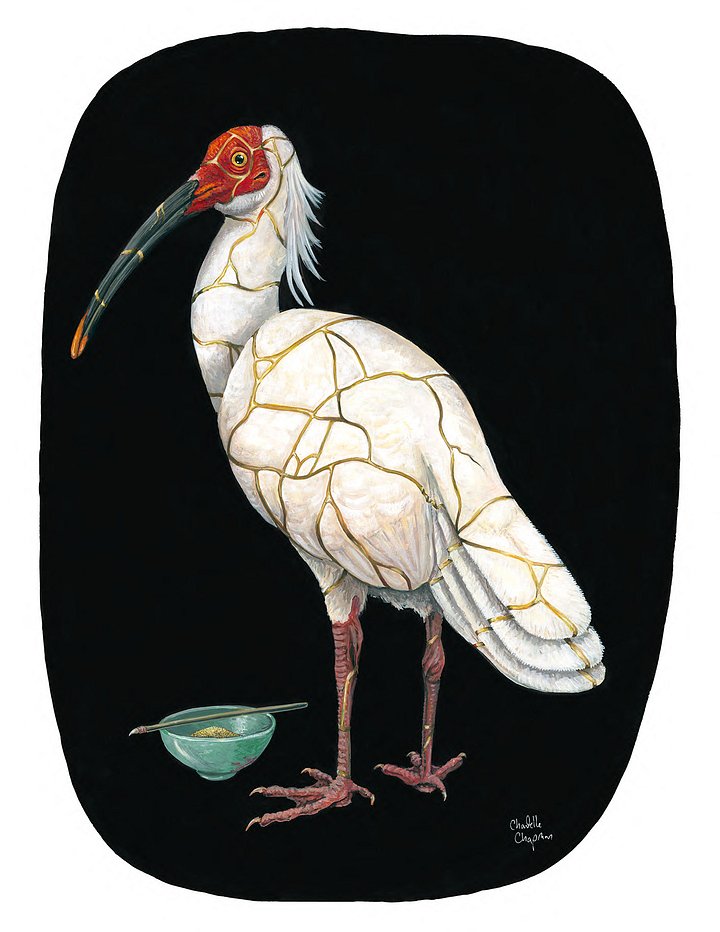 Restoration (Japanese Crested Ibis) - Art Print product image (1)