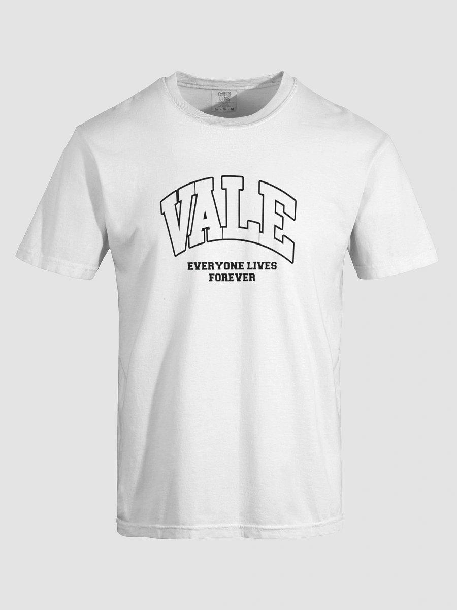 Valve Fitness & Services Logo T-shirt product image (60)
