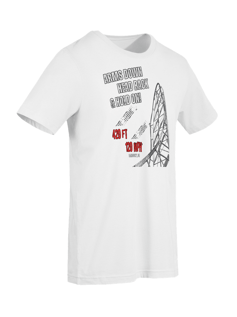 Arms Down, Head Back & Hold On - 420/120 Tee product image (41)
