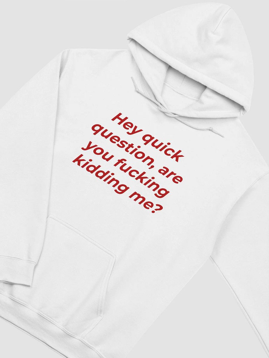 Hey Quick Question, Are You Fucking Kidding Me Hoodie product image (2)