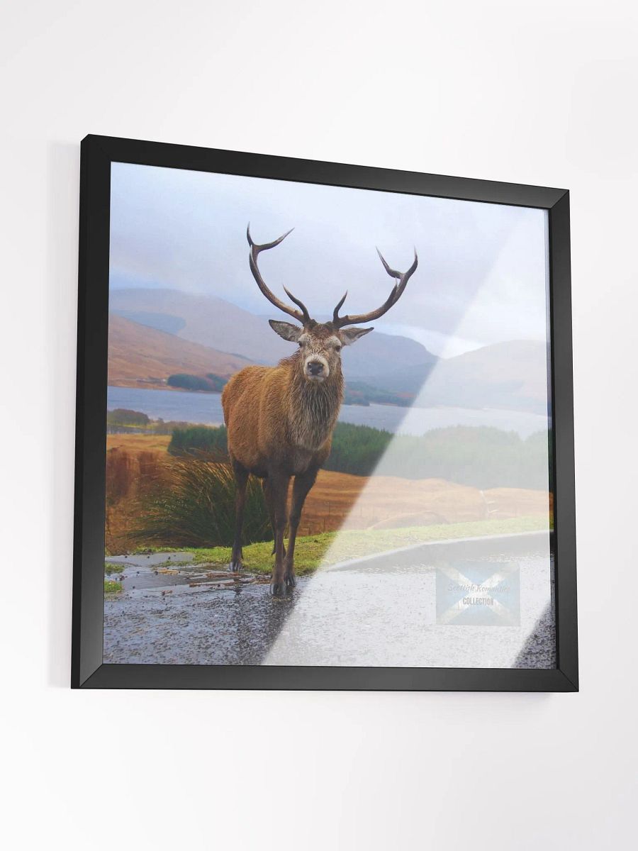 Scottish Romantics Framed Photo product image (3)