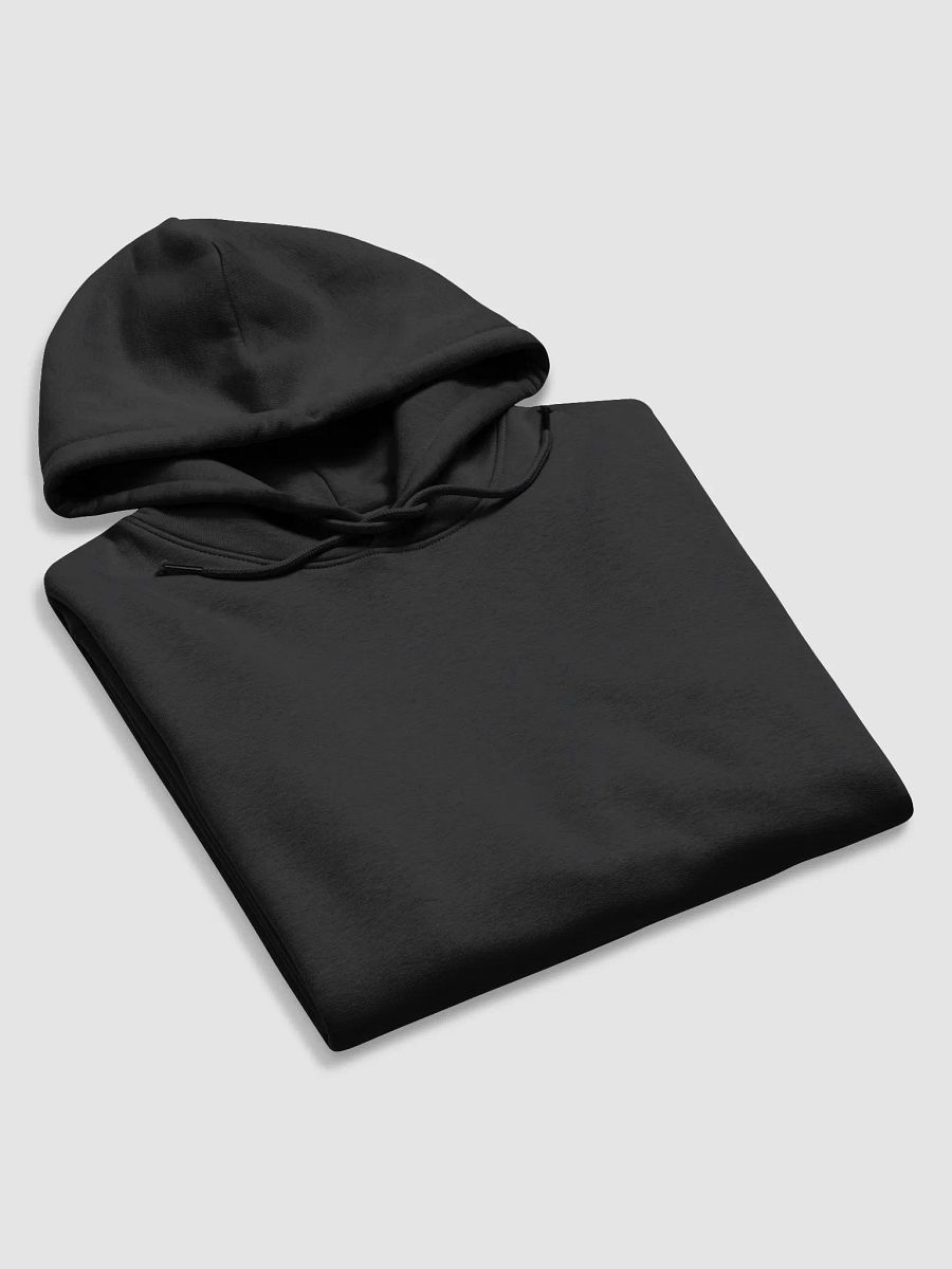 Anchored Eco Hoodie product image (5)
