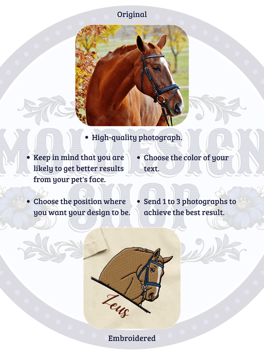 YOUR HORSE! / T-SHIRT WITH PERSONALIZED NAME / EMBROIDERED product image (8)