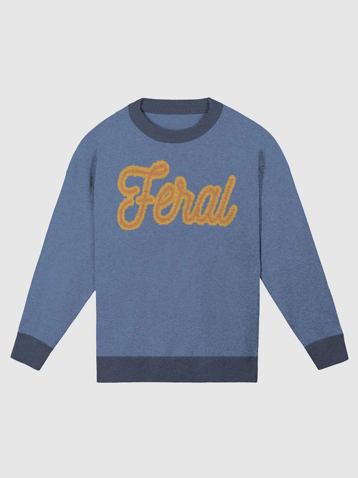 Feral Knit Blue and Yellow product image (1)