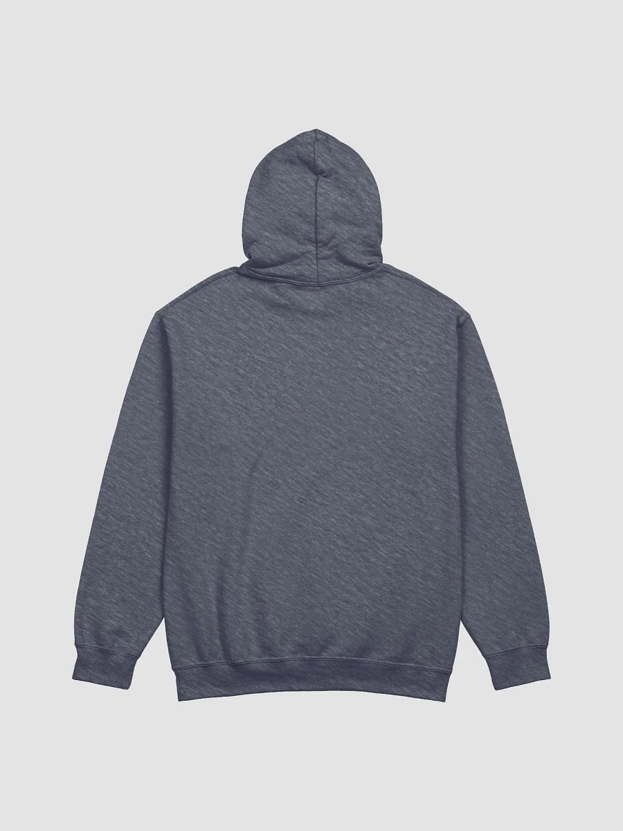 Aquarius Hoodie product image (3)