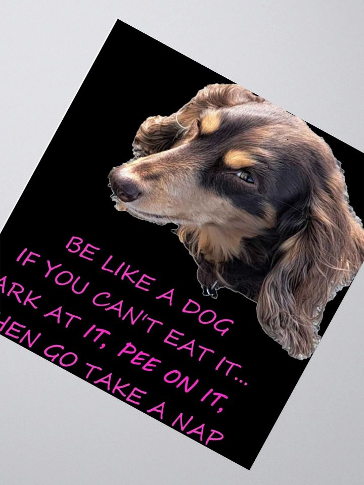 BE LIKE A DOG SIDE EYE product image (8)