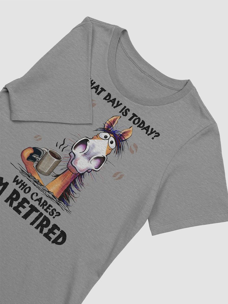 Retired Horse- Women's Bella & Canvas product image (22)