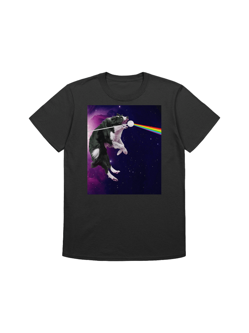 Border Collie Leaps Into The Best Album Cover Of All Time Classic Rock 'n' Roll T-shirt