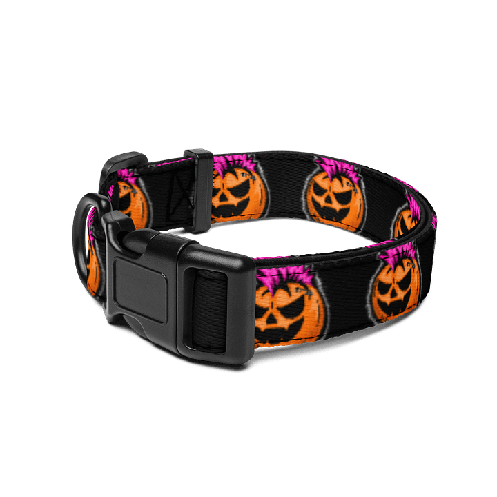 Punkin Pet Collar product image (2)