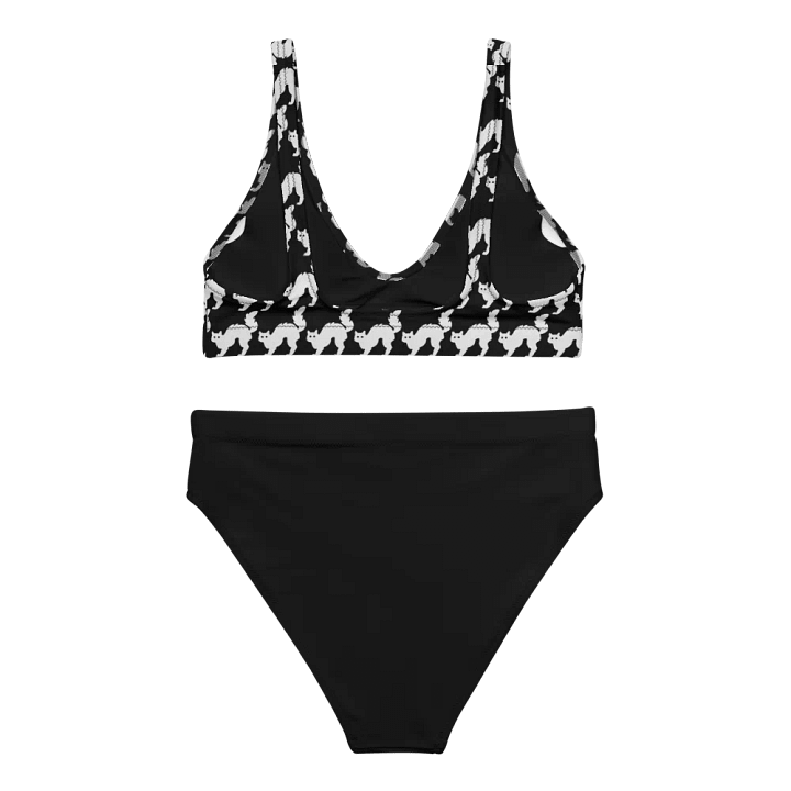 Feline Flight High Waisted Bikini product image (2)
