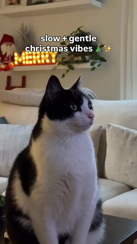 It’s December 1st, and my favorite season is officially here ✨ Just thinking about it makes me feel all warm and fuzzy 🥰

My ...