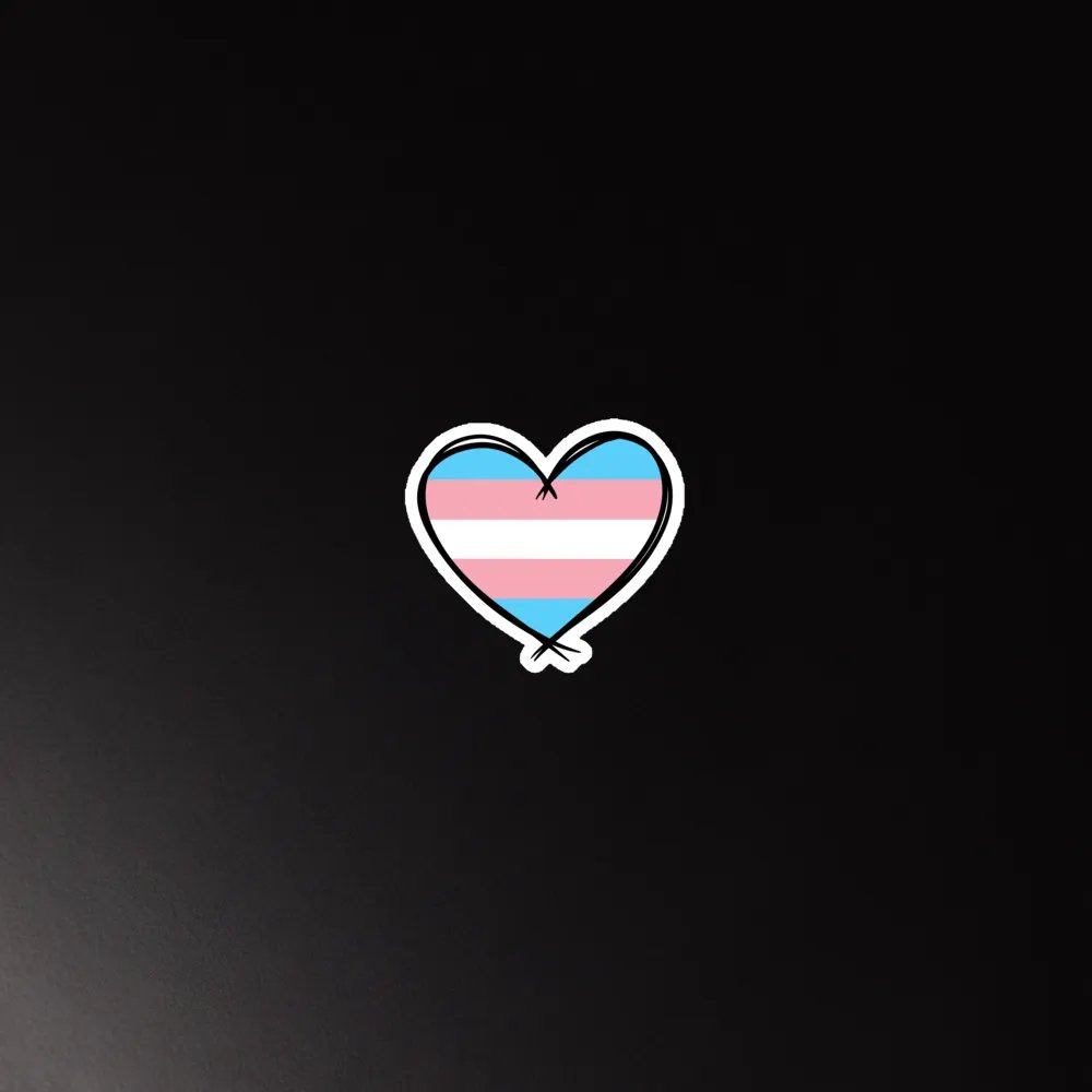 Transsexual Pride Magnet product image (5)