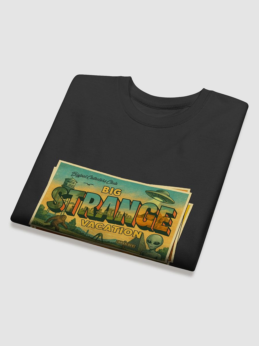 Big Strange Vacation Sweatshirt. product image (4)