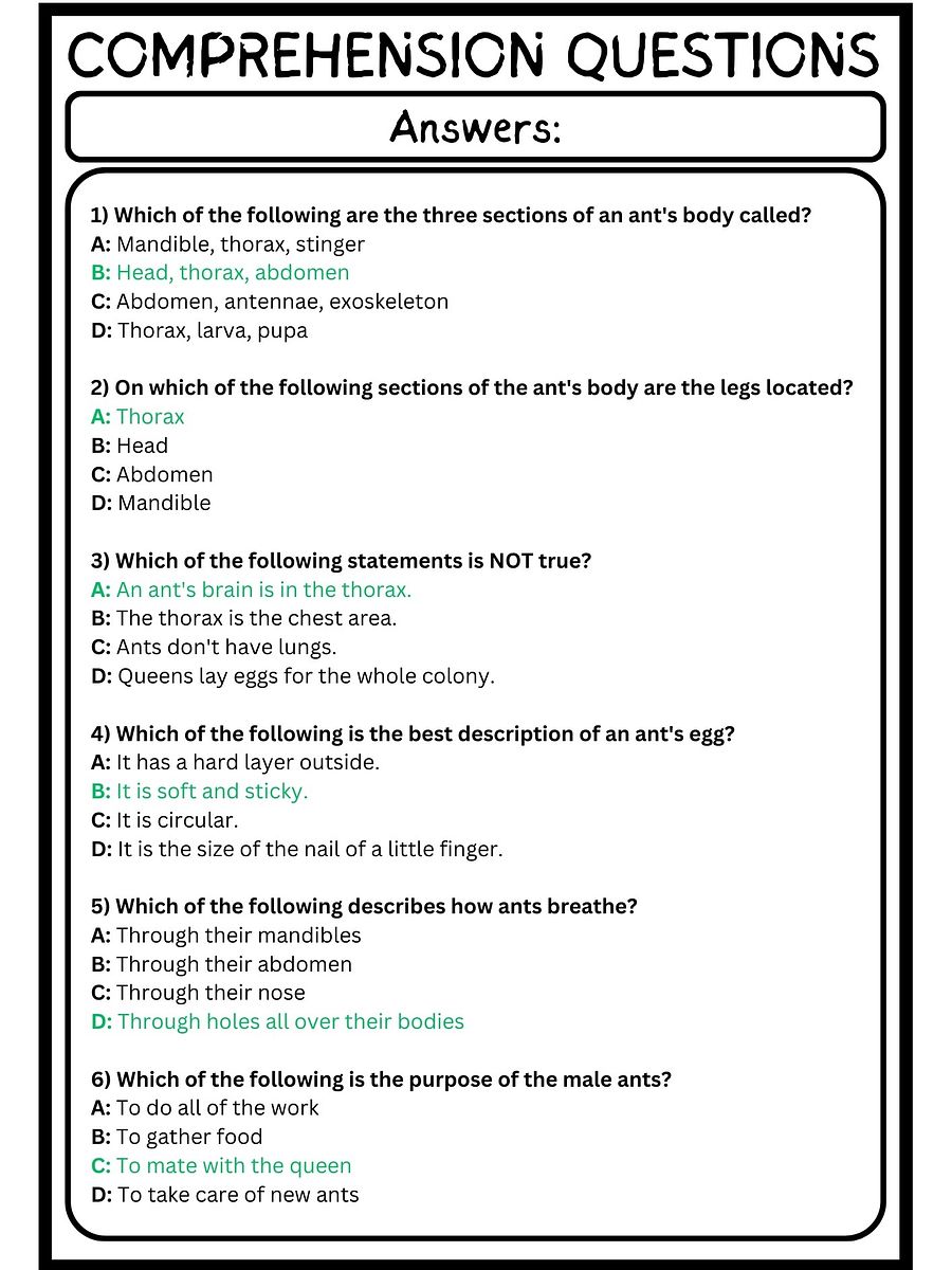 Ants Reading Comprehension Worksheet product image (4)