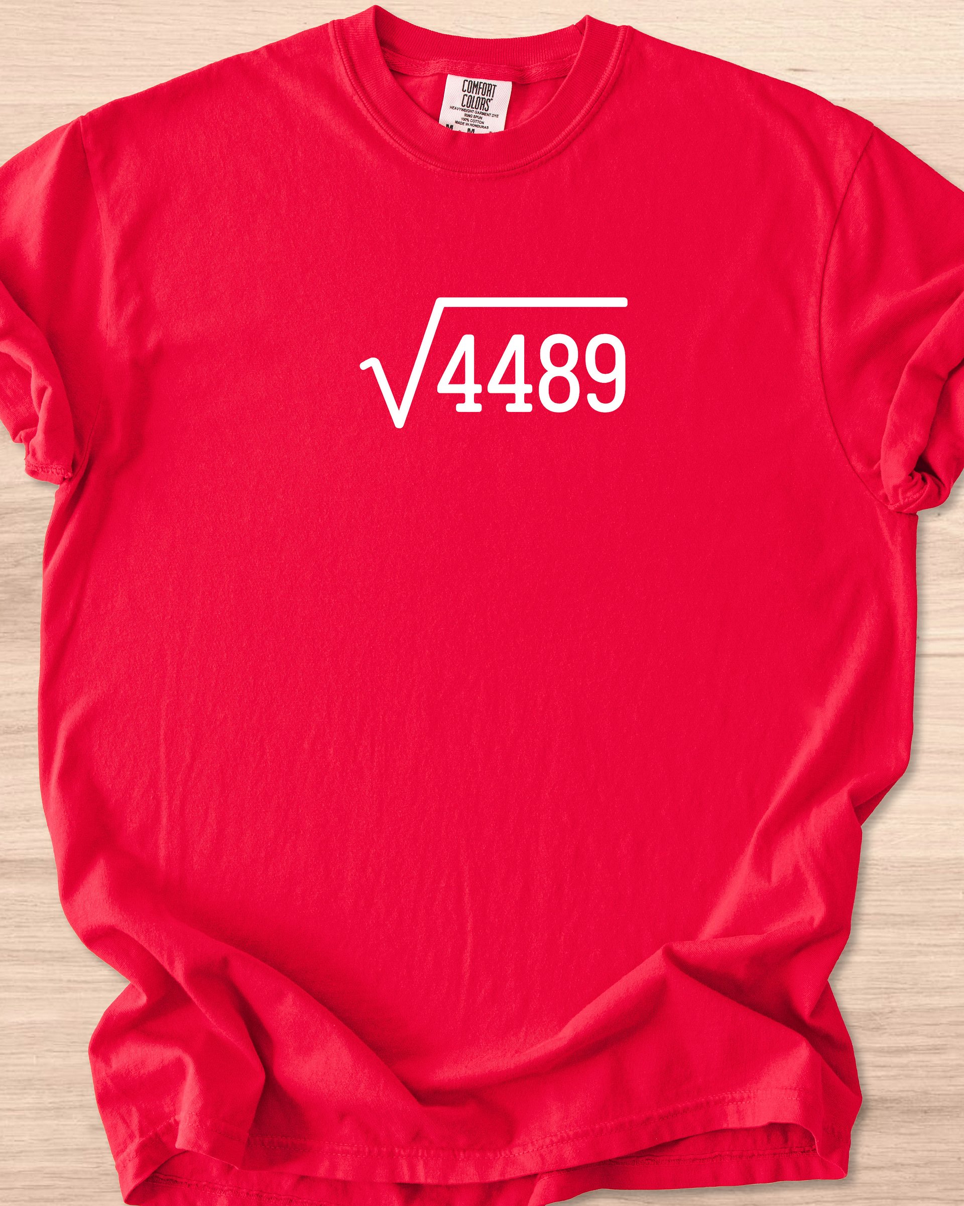 67 (Six Seven Root) Tee product image (9)