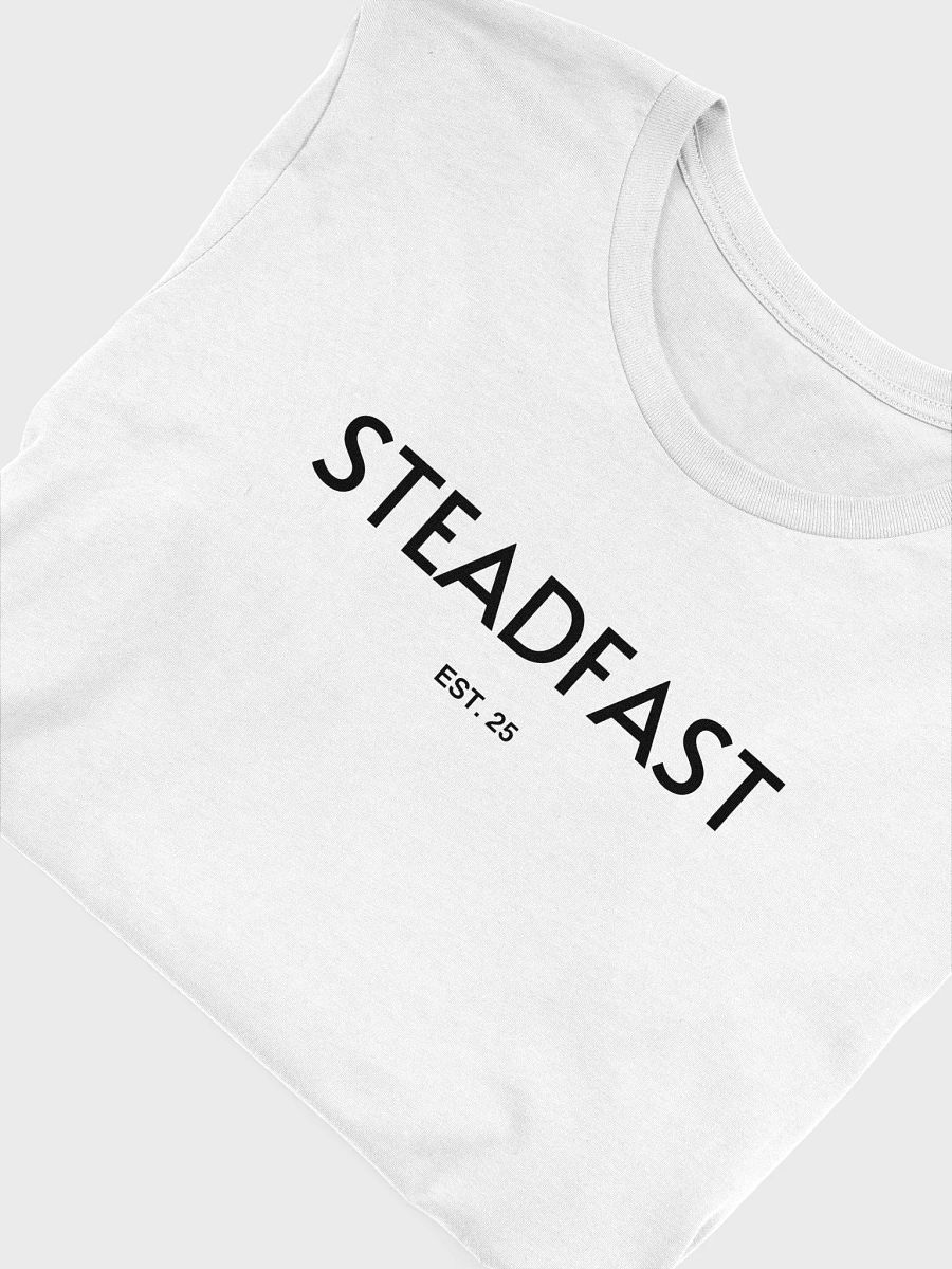 STEADFAST product image (55)