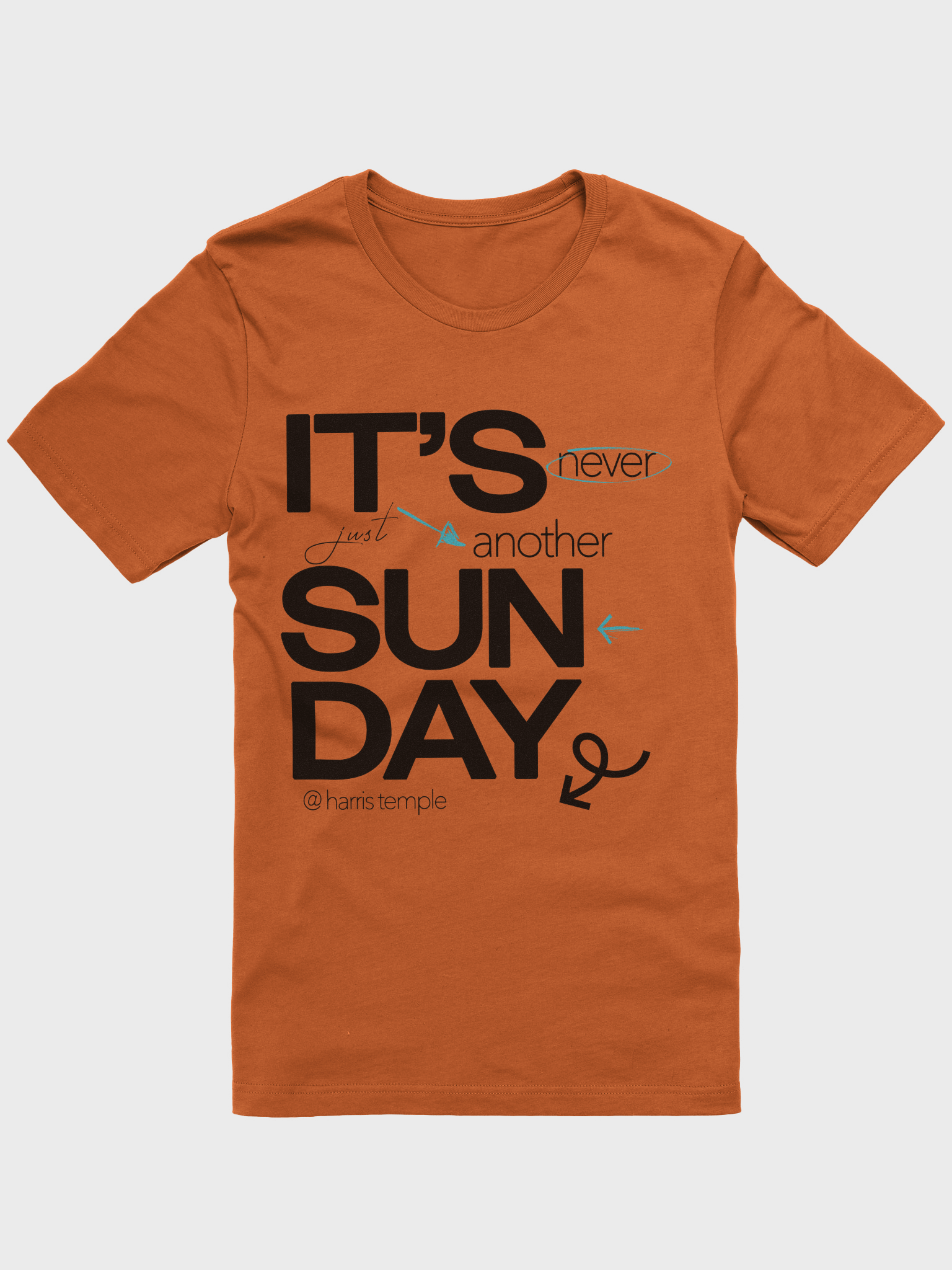 Elevate Your Style with Temple Merch Highlight T-Shirt product image (1)