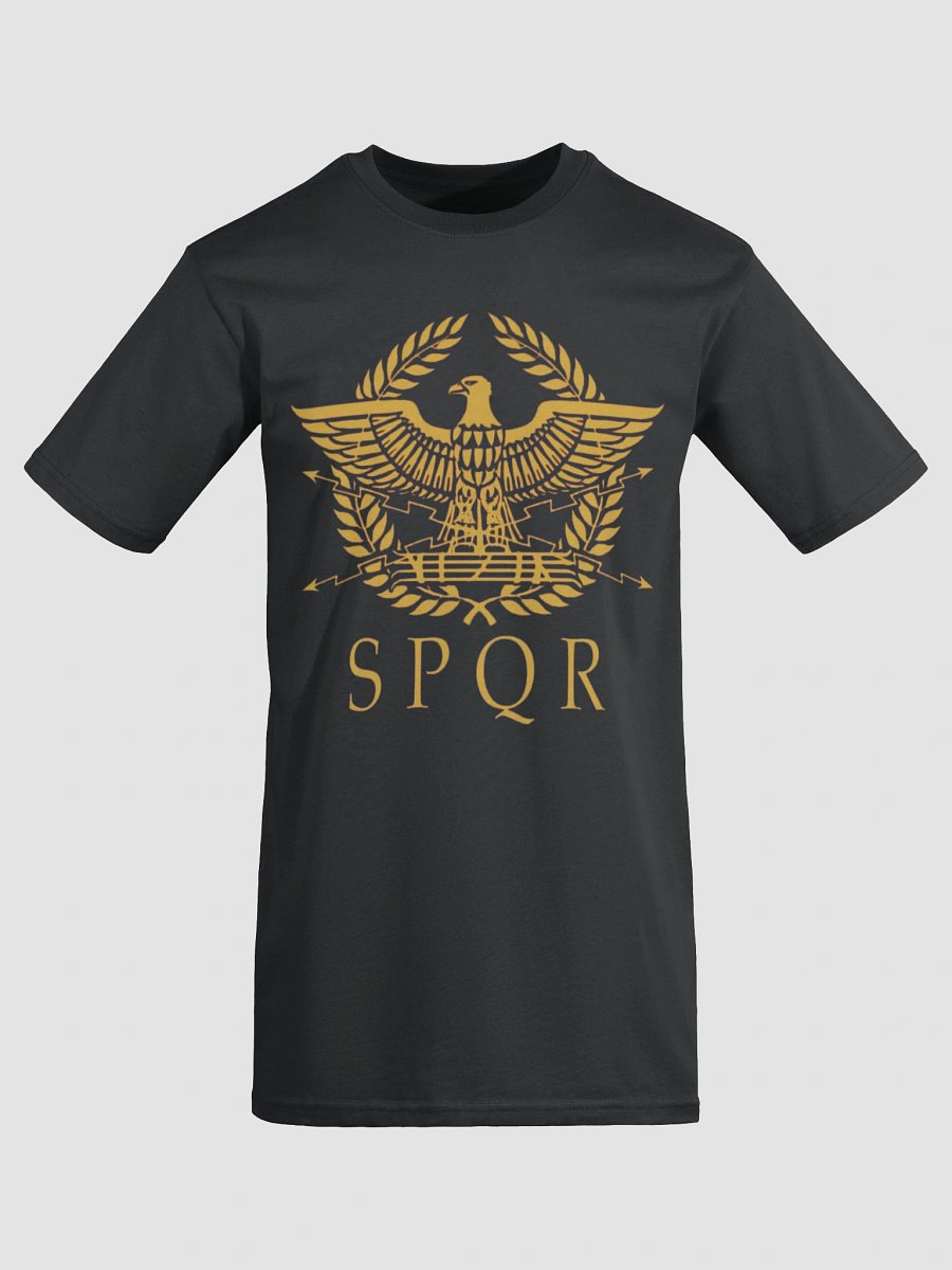 Rome Reborn Heavy Tee product image (18)