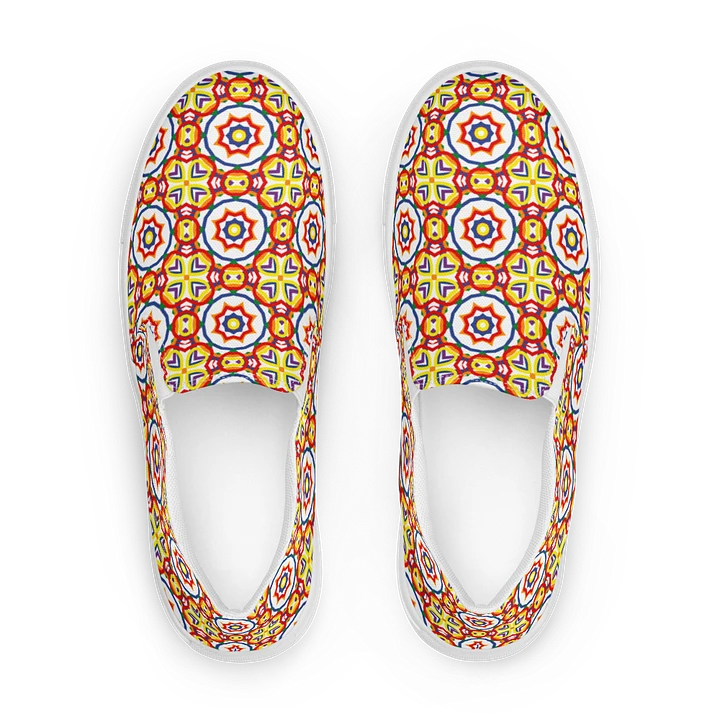 Mens Slip On Canvas - Rainbow (d) product image (1)