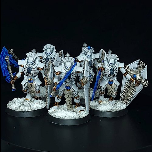 The five remaining Lychguard for Chris' Necron collection!

If you'd like to commission me, check my pinned posts!
Https://Ro...