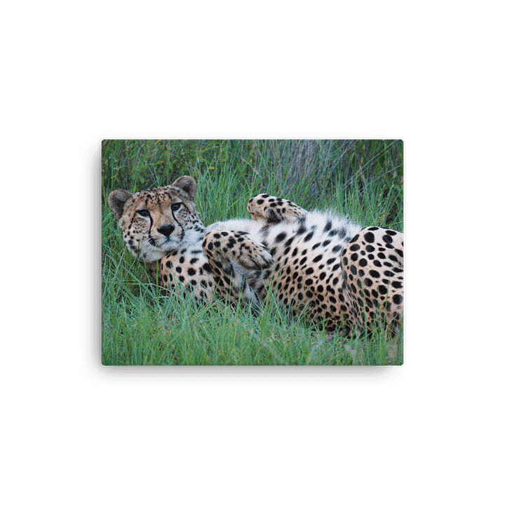 Cheetah Canvas Print product image (8)