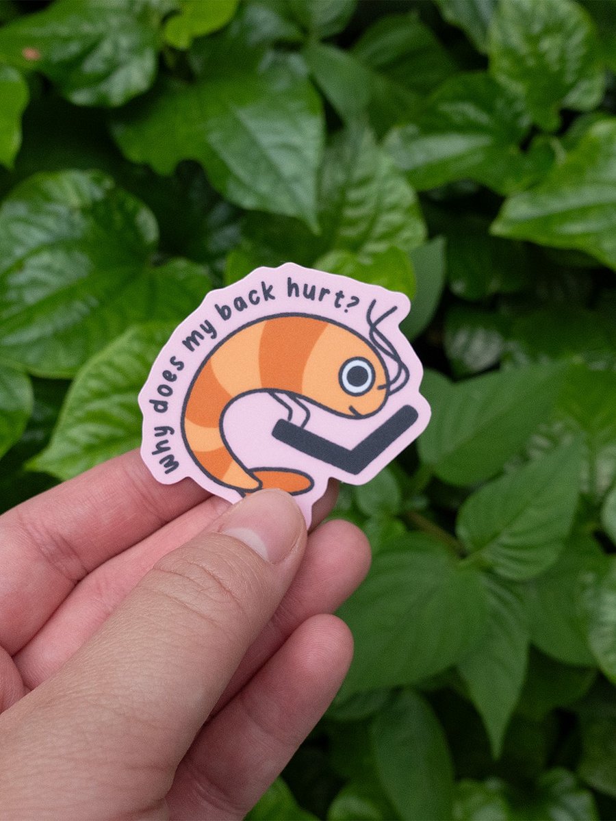 why does my back hurt shrimp sticker product image (2)