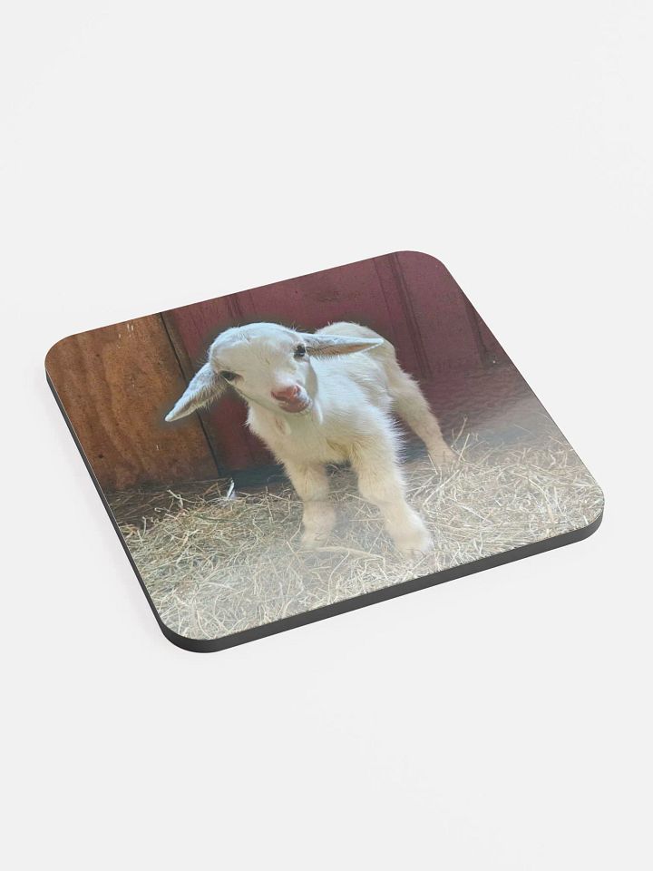Baby Whiskey coaster product image (2)
