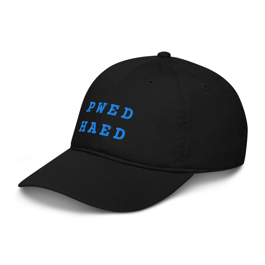 BED HEAD in steno - Organic Cotton Dad Cap (Blue) product image (10)