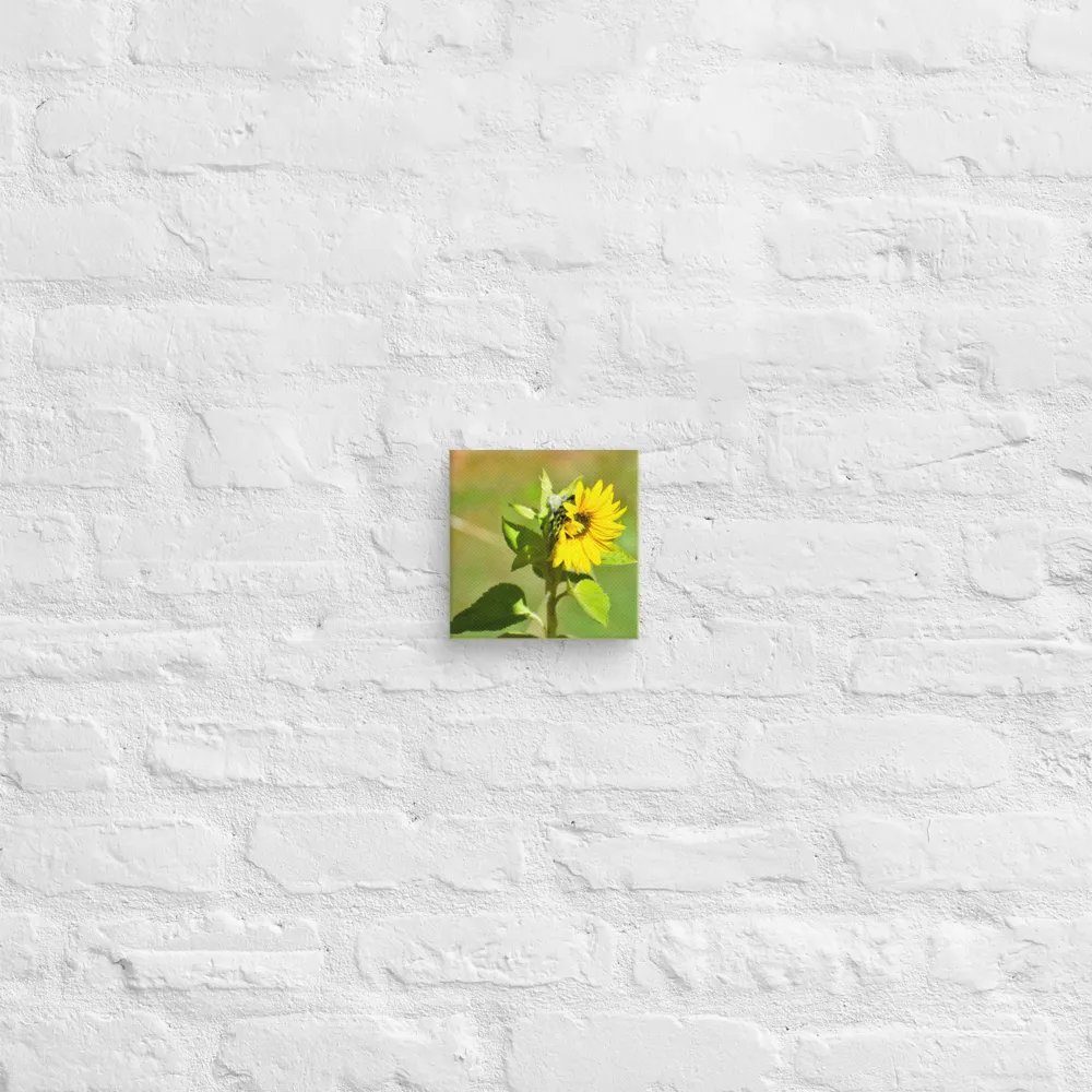 Canvas: Sunflower in early autumn product image (21)