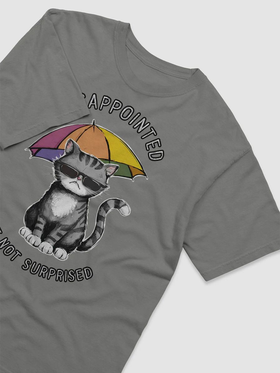 Disappointed Cat with Umbrella Art product image (3)