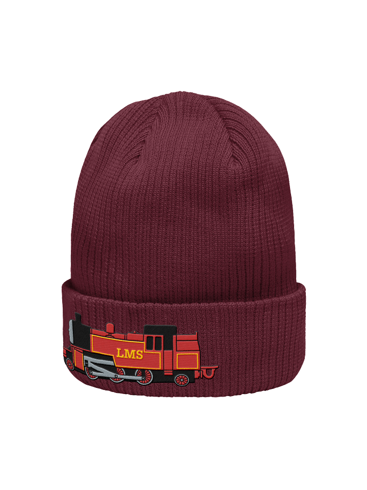 Arthur Embroidered Beanie product image (2)