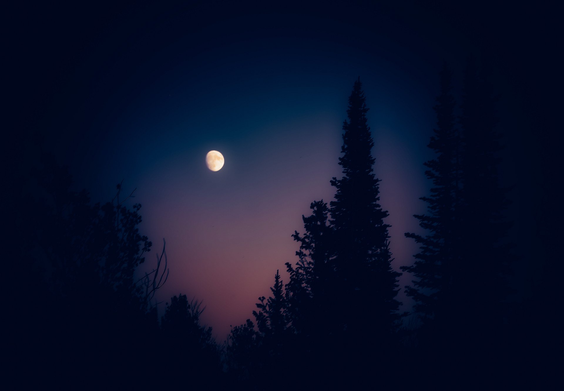 The Moon product image (2)