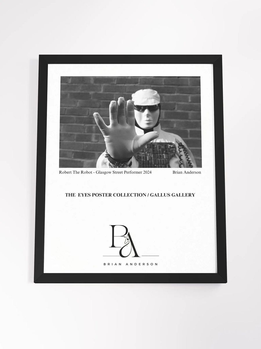 Brian Anderson Collection Robert The Robot product image (4)